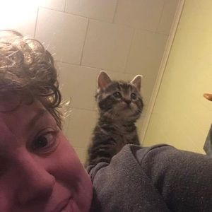 Meet your Posher, Nancy